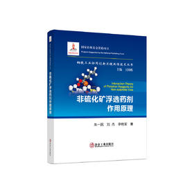 非硫化矿浮选药剂作用原理/朱一民 刘杰 李艳军