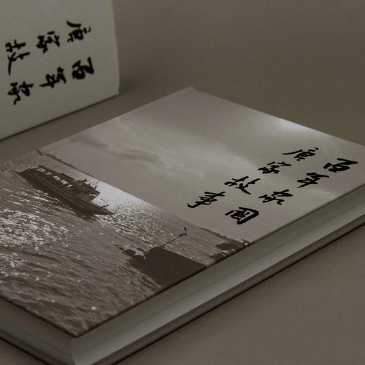 百年家国：唐家故事    [加]何倩    巨流河 家国 广西灌阳 唐景崧  艰危与希望 保土安邦 家族史  广西师范大学出版社 商品图3