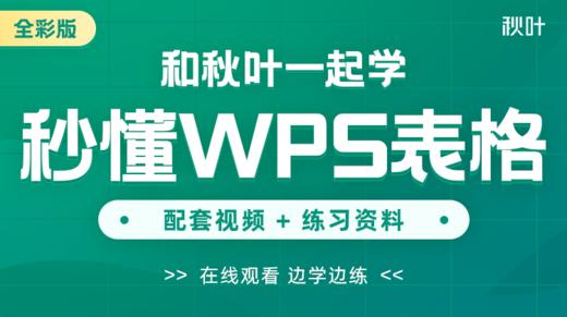 【图书配套视频】和秋叶一起学秒懂WPS表格（已更新完） 商品图0