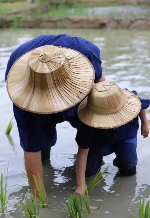 农耕·一粒米的故事 商品图3