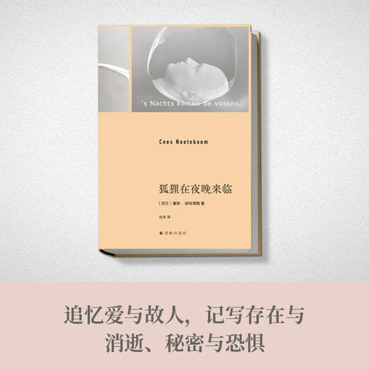 狐狸在夜晚来临 商品图3