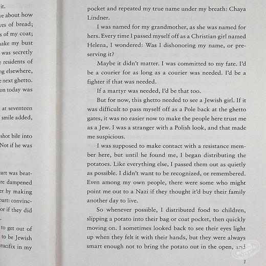 预售 【中商原版】反抗Scholastic Gold Resistance英文原版Jennifer A Nielsen 商品图6