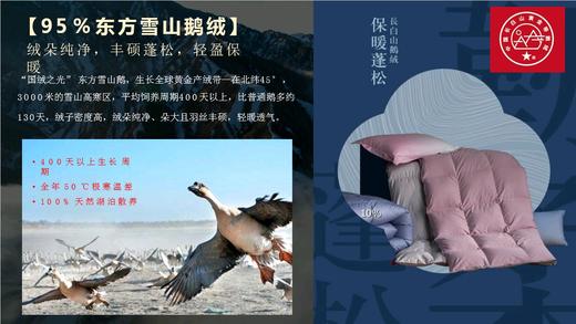 天空之城-MJ BABY尊享95%白鹅绒四季被/厚被：东方Ⅱ【买一送一】 商品图6