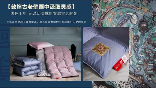 天空之城-MJ BABY尊享95%白鹅绒四季被/厚被：东方Ⅱ【买一送一】 商品图8