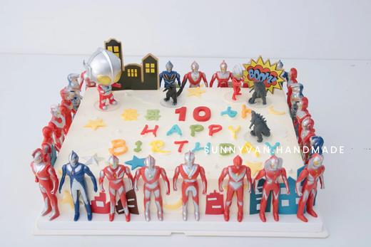 商务宴请 公司企业茶歇 多人聚会 超大尺寸方形蛋糕（提前三天预定） 商品图7