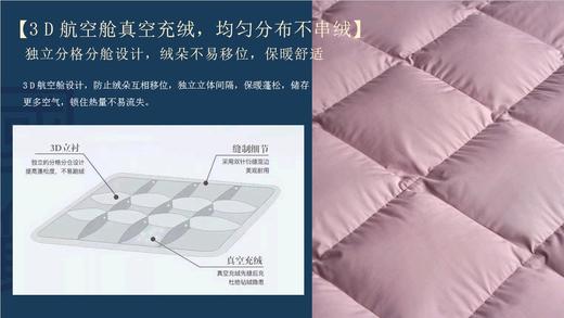天空之城-MJ BABY尊享95%白鹅绒四季被/厚被：东方Ⅱ【买一送一】 商品图10