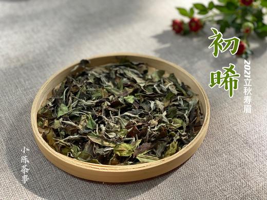 温柔的甜花香，冰沁可人。有机秋寿眉《初晞》2021再度归来（60克罐装） 商品图4