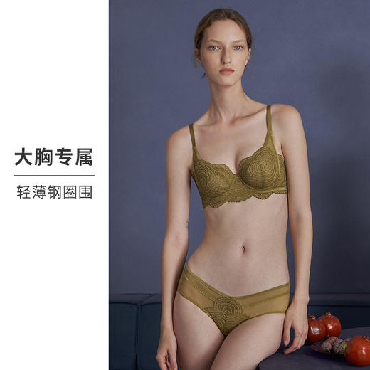 HSIA遐内衣女薄款阳台杯星空蕾丝性感有钢圈上托胸罩大胸显小文胸 商品图1
