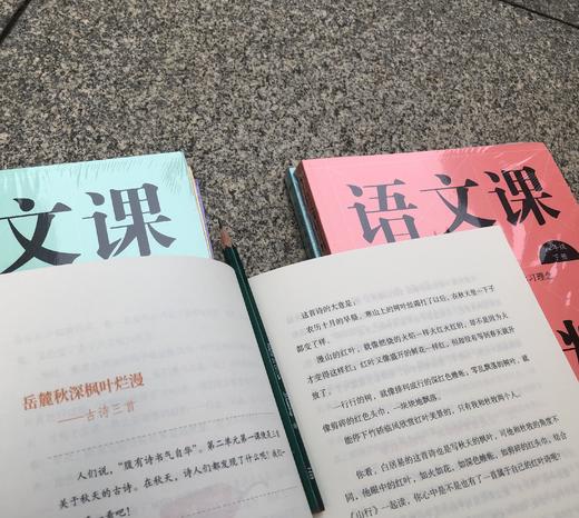 【新版1-9年级】语文课超有趣 语文教材总主编【温儒敏】 g效语文学习 商品图5