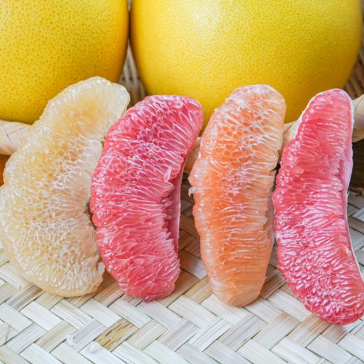 琯溪蜜柚【四大名柚】| 三红柚/红柚/白柚/黄柚，脆嫩多汁非常正！一次吃四种柚子，开心生活，快乐吃柚。 商品图3