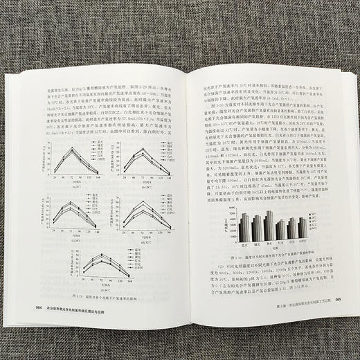 农业废弃物光生化制氢热效应理论与应用 商品图7