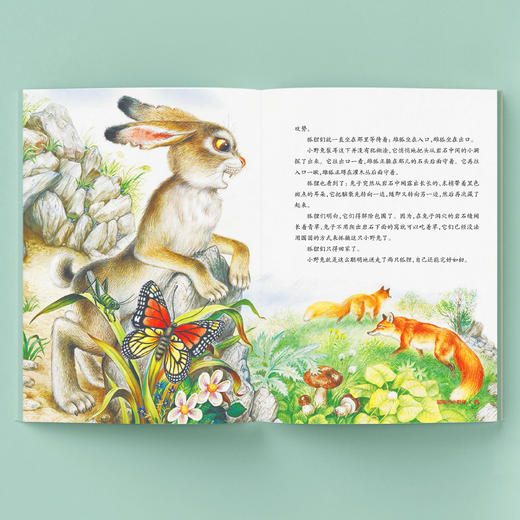 《世界自然文学大师作品·美绘本：大自然里的故事》（共五册） 商品图3