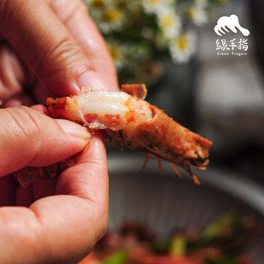 野生东山岛海虾| 合作生产 * Wild Dongshan Island Shrimps | Coproduction 商品图4