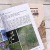 朝阳市外来入侵植物及濒危保护植物图鉴 商品缩略图6