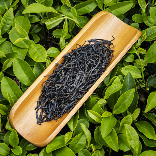 【恩施金苔红·一级红茶 】上等红茶 罐装125g  厚味绵长 商品图2