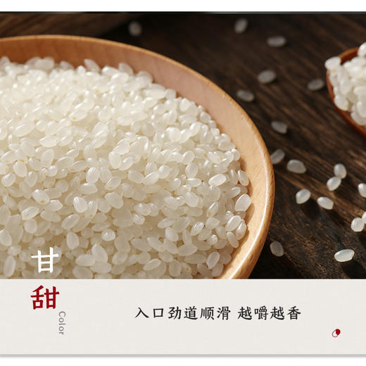 米胖墩儿 东北长粒香大米2.5kg 商品图5