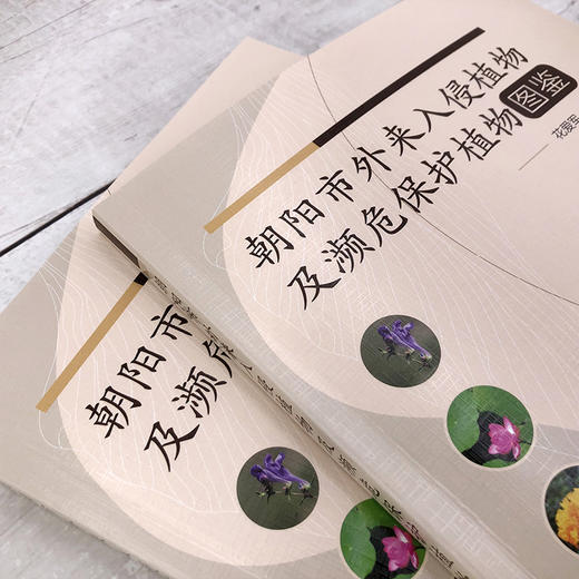 朝阳市外来入侵植物及濒危保护植物图鉴 商品图2