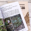 朝阳市外来入侵植物及濒危保护植物图鉴 商品缩略图4