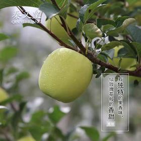 秦义皇（瑞雪）B 级 果  绿色有机水果  果园直供  80mm起24枚/箱