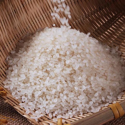 良农嫁稻 中国农垦 东北珍珠米 东北大米 农场直供 2.5kg 商品图2
