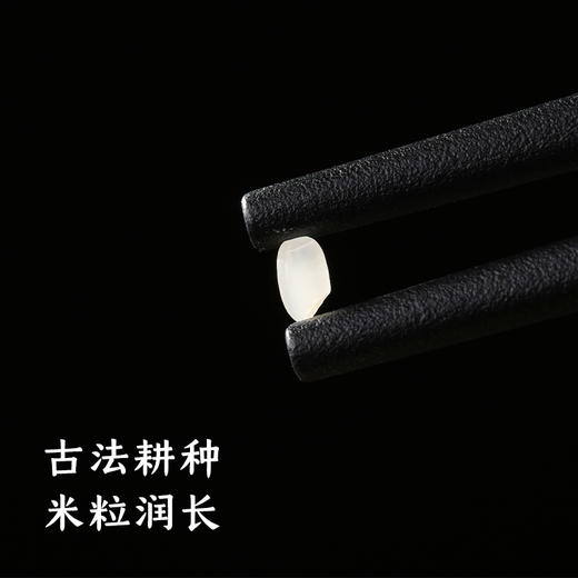 米胖墩儿 东北长粒香大米2.5kg 商品图6