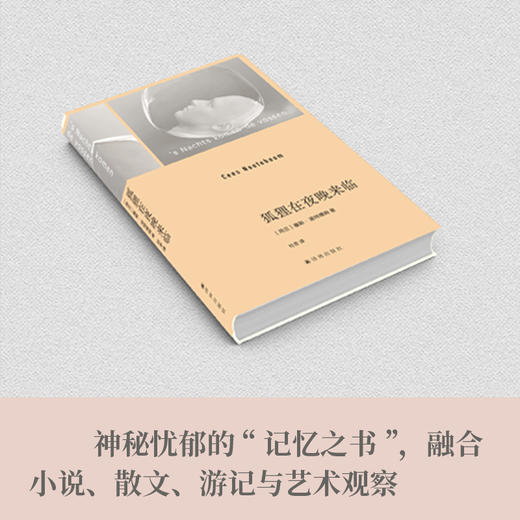 狐狸在夜晚来临 商品图2