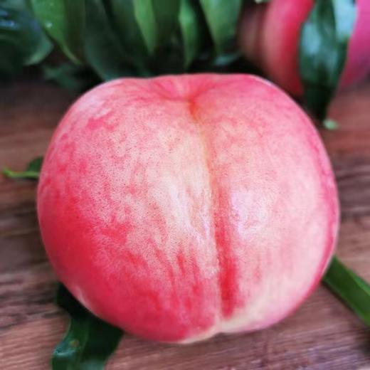 金秋红蜜桃 商品图2