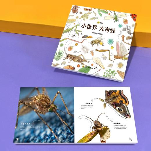 老米优品/ 400倍  当当狸显微镜丨儿童 科学实验 自动对焦 商品图4