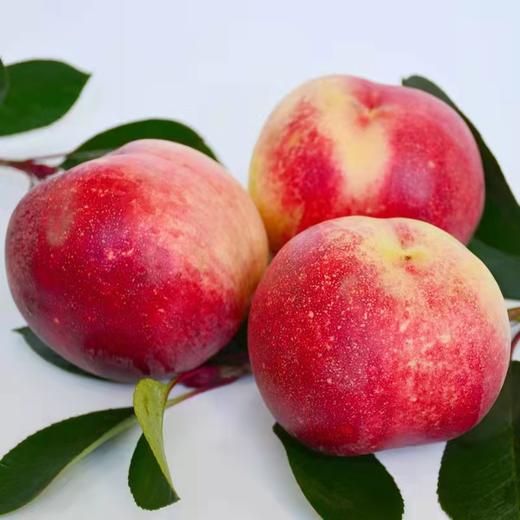 金秋红蜜桃 商品图1