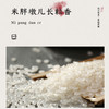 米胖墩儿 东北长粒香大米2.5kg 商品缩略图2