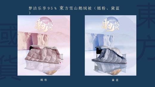 天空之城-MJ BABY尊享95%白鹅绒四季被/厚被：东方Ⅱ【买一送一】 商品图2