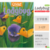 蟋蟀童书-英文原版杂志0-14岁8种可选！cricket、muse、spider、ladybug、click、ask、faces、babybug 商品缩略图5