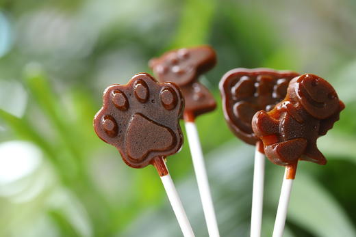 秋梨膏棒棒糖（1支） 商品图0