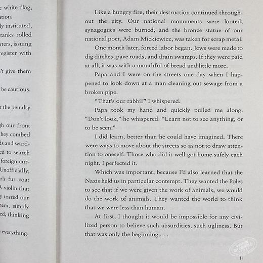 预售 【中商原版】反抗Scholastic Gold Resistance英文原版Jennifer A Nielsen 商品图7