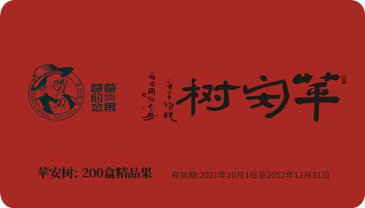 认养苹果树 商品图0