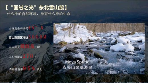 天空之城-MJ BABY尊享95%白鹅绒四季被/厚被：东方Ⅱ【买一送一】 商品图5