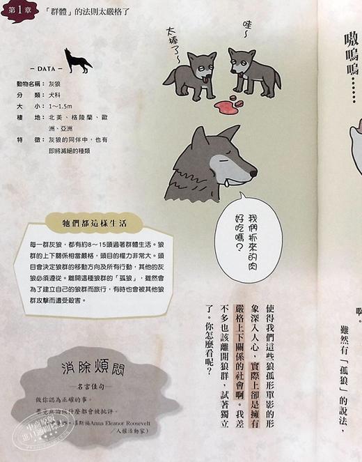 【中商原版】一切都是为了讨生活啦 怨叹动物图鉴 港台原版 今泉忠明 台湾东贩 科普读物 商品图6