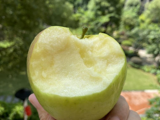 王林青苹果青森苹果净重4斤/5礼盒 商品图3