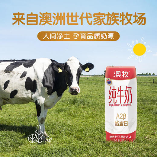 澳牧高端进口纯牛奶10盒装（至2022.7） 商品图4