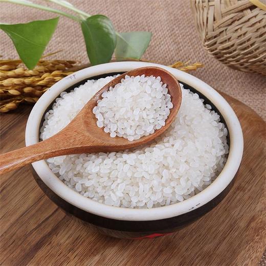 良农嫁稻 中国农垦 寒地东北大米 农场直供 真空锁鲜 5kg 商品图4