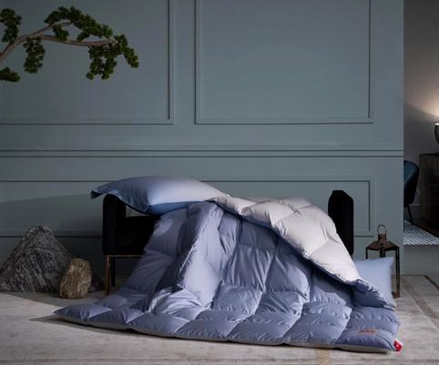 天空之城-MJ BABY尊享95%白鹅绒四季被/厚被：东方Ⅱ【买一送一】 商品图1