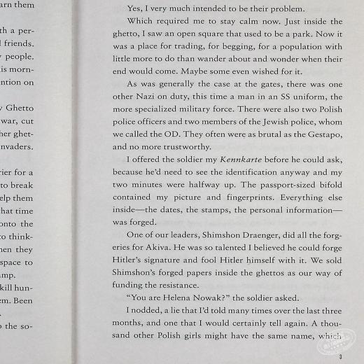 预售 【中商原版】反抗Scholastic Gold Resistance英文原版Jennifer A Nielsen 商品图4