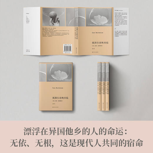 狐狸在夜晚来临 商品图4