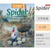 蟋蟀童书-英文原版杂志0-14岁8种可选！cricket、muse、spider、ladybug、click、ask、faces、babybug 商品缩略图6