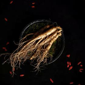 吉林长白山·鲜人参（15g*5支）苔藓保鲜发货