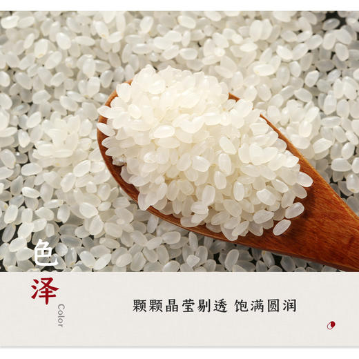 米胖墩儿 东北长粒香大米2.5kg 商品图3