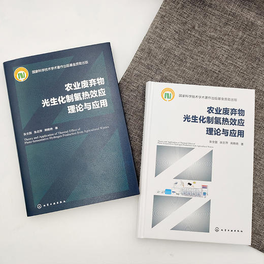 农业废弃物光生化制氢热效应理论与应用 商品图2