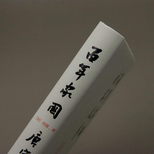 百年家国：唐家故事    [加]何倩    巨流河 家国 广西灌阳 唐景崧  艰危与希望 保土安邦 家族史  广西师范大学出版社 商品图2
