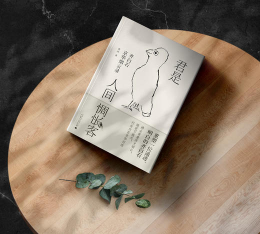 【限量毛边题词本】君是人间惆怅客：齐白石京华烟云录   赠送《寻找齐白石》手绘打卡册 商品图4