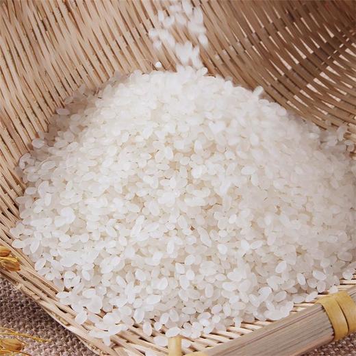 良农嫁稻 中国农垦 寒地东北大米 红色祥云 农场直供 真空锁鲜 5kg 商品图1